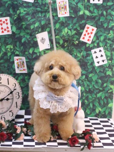 20250412かんたくん